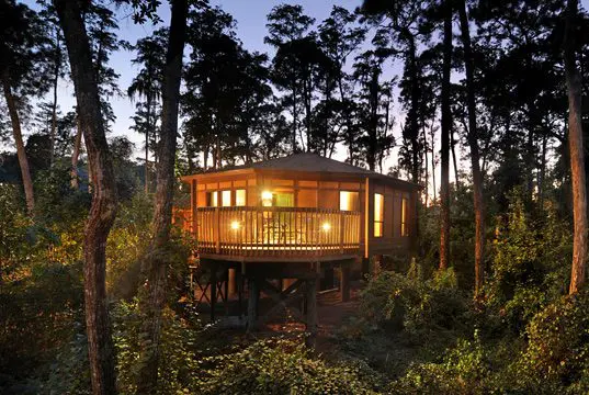 Treehouse Villa at Disney's Saratoga Springs Resort and Spa