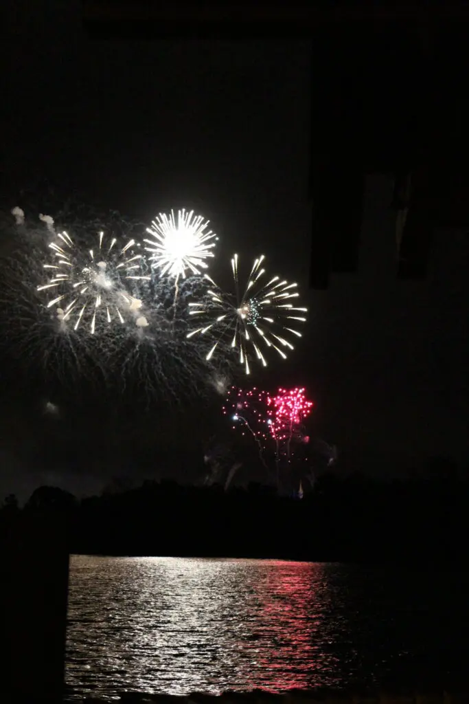 Fireworks cruise view, Disney World at night with fireworks over reflective water.