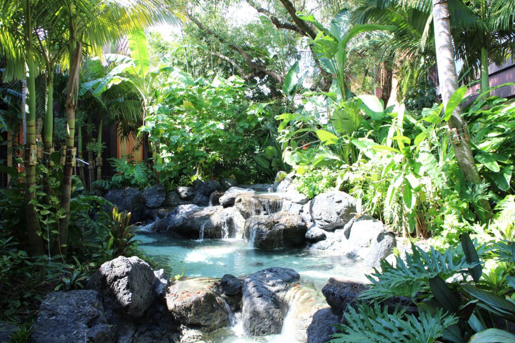 A waterfall in front of the Polynesian.