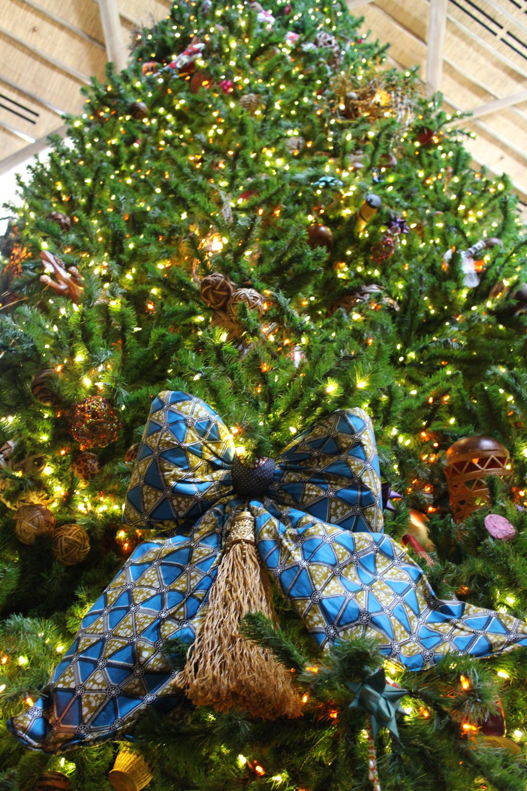 Animal Kingdom Lodge Christmas 2021 DVC Resale Experts