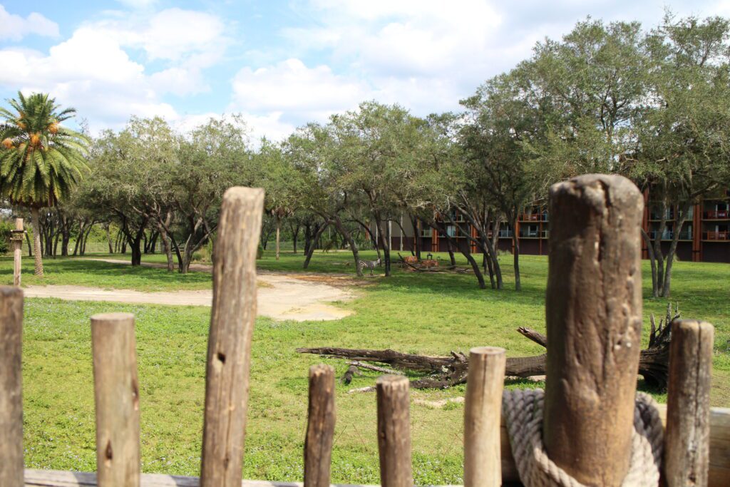 The view over a wood stick fence into a green pasture where a zebra stands in the shade of some trees at Animal Kingdom Lodge at Disney World.