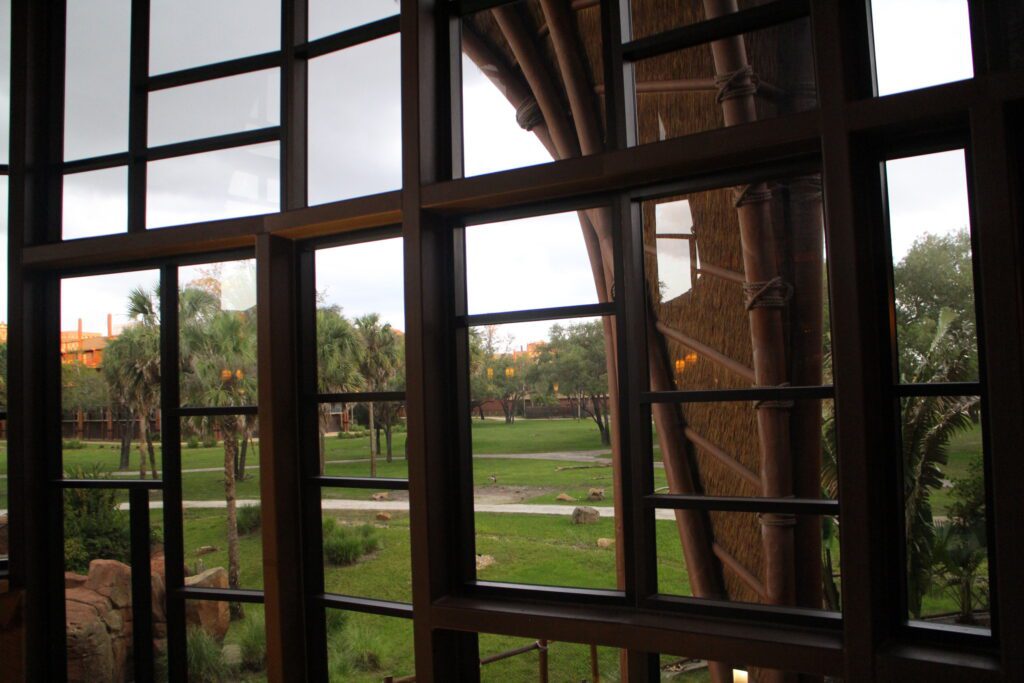 A look out of the Kidani Village lobby window on to the savanna at Disney's Animal Kingdom Villas. What resorts are DVC.