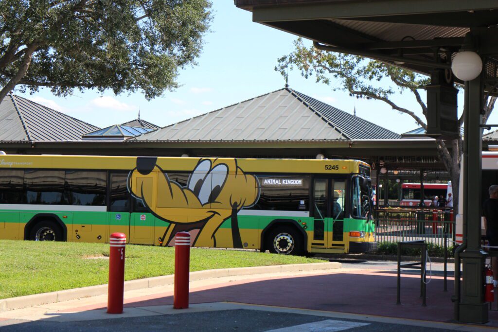 A bus with Pluto on it in the Magic Kingdom bus loading zone.