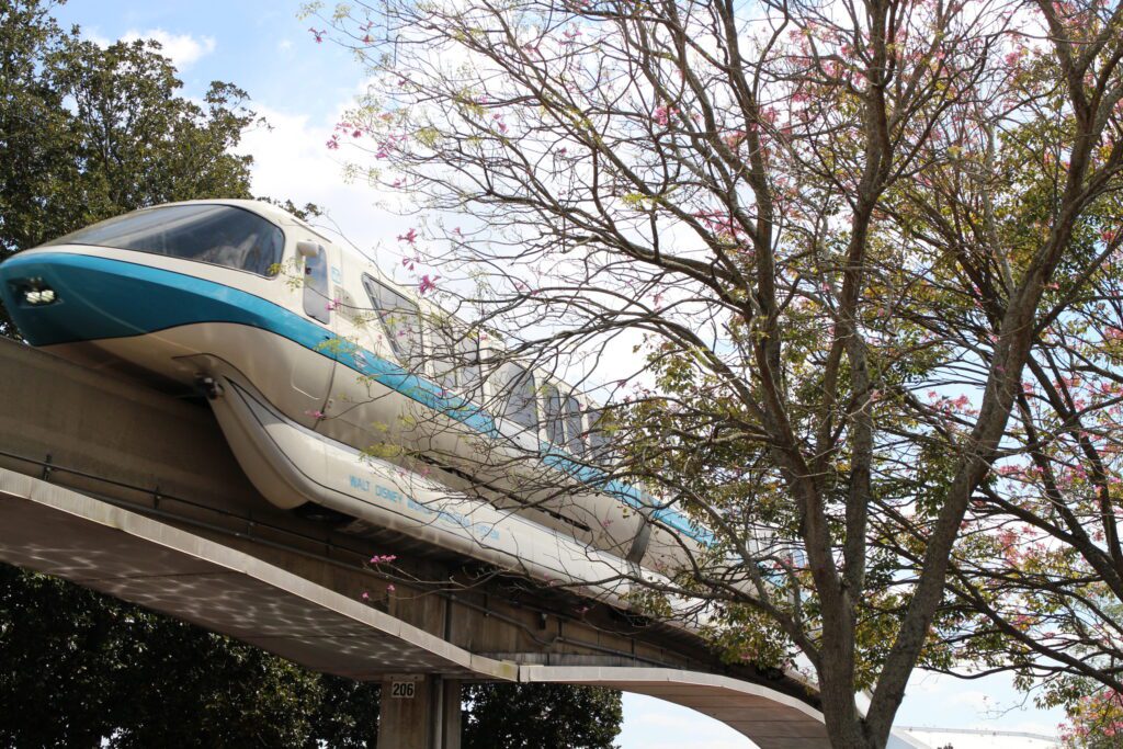 A white monorail on a beam glides by a tree.