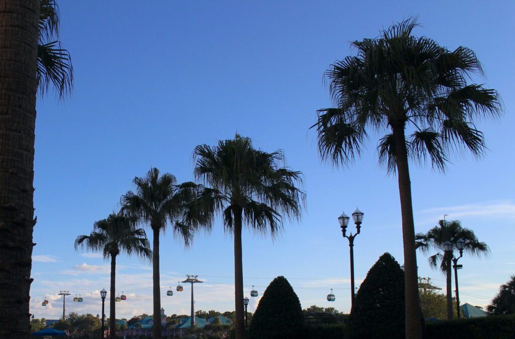 Disney Skyliners float in a line off in the distance beyond Disney's Riviera Resort palm trees.