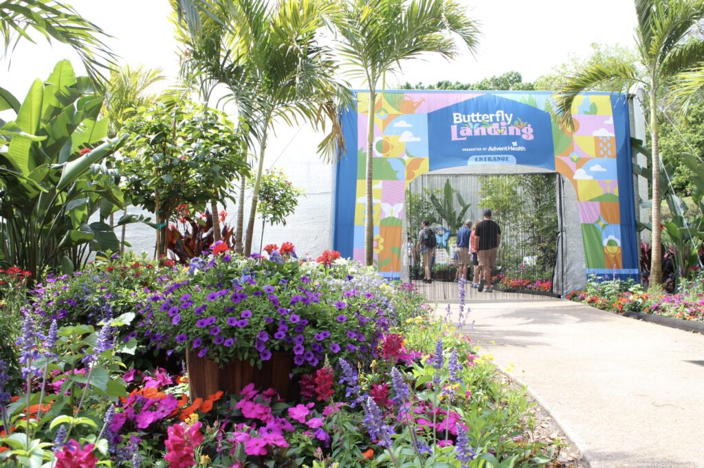 Butterfly Garden at the Epcot flower festival. Plants line a walkway into the enclosure with a beaded entry door.