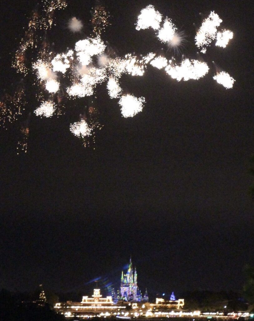 Disney World fireworks in a night sky over the castle