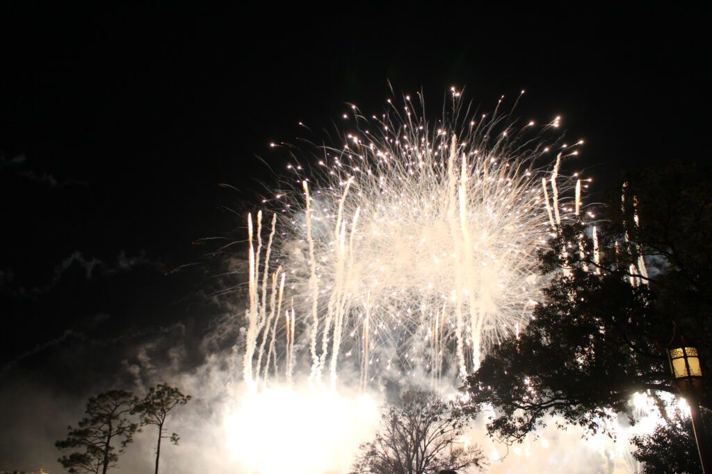 Disney World fireworks in a night sky