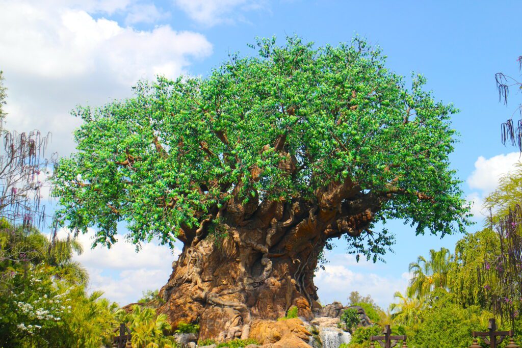 Animal Kingdom's large Tree of Life park icon with bright green leaves and a carved trunk.